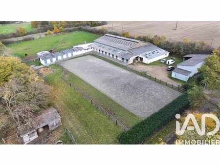 vente haras 5 pièces