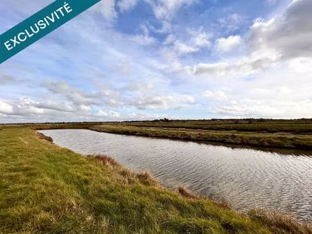 terrain de loisirs – 8 530 m² – saint-hilaire-de-riez