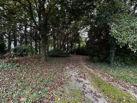 vente maison à blain (44130) : à vendre / 178m² blain