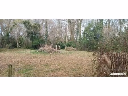 location terrain pour jardin