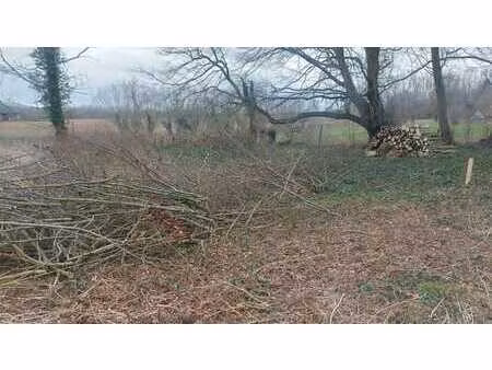 joli terrain à bâtir arboré avec permis de construire