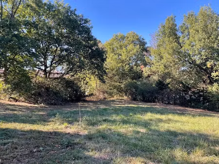 vente terrain 995 m² à saix (81710)  52 000 €