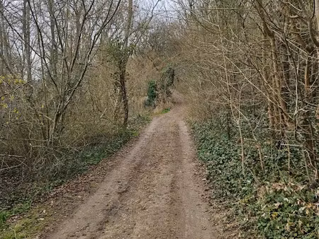 vente terrain 1916 m² à le mérévillois (91660)  1 650 €