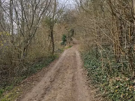 vente terrain 1916 m² à le mérévillois (91660)  3 300 €