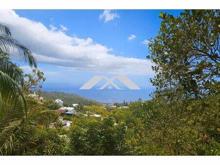 belle maison individuelle avec dépendance – saint-denis – l