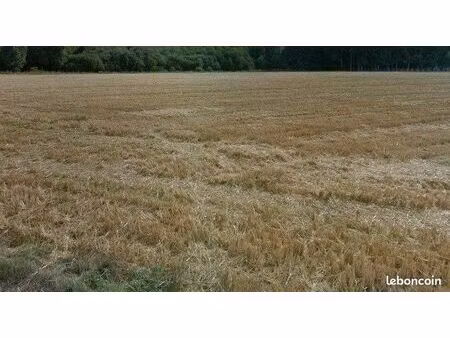 terrain 849 m² yermenonville