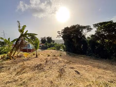 terrain gourbeyre - vue mer - 1111 m2