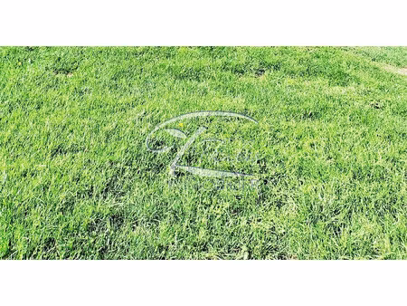 terrain à vendre pugnac