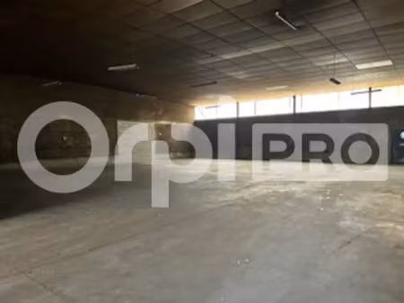 local d'activite a louer