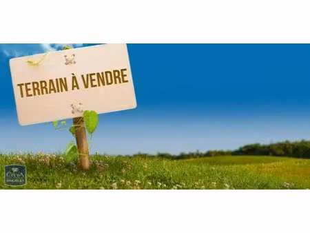 terrain à vendre - saint-genouph (37) - 110 000€