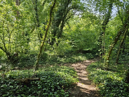 achat terrain 6 720m² lamotte brebiere 80450