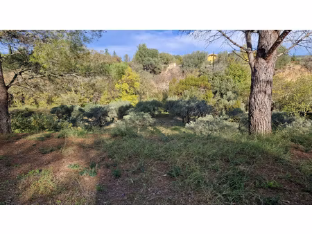 terrain de 4250 m2 avec 900m2 constructible