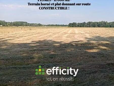 terrain à vendre