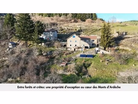 vente propriété 11 pièces