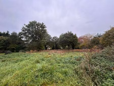 vente terrain à plélan-le-petit (22980) : à vendre / 1160m² plélan-le-petit