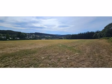 vente terrain à batir 21360 m² à tence (43190)  70 000 €