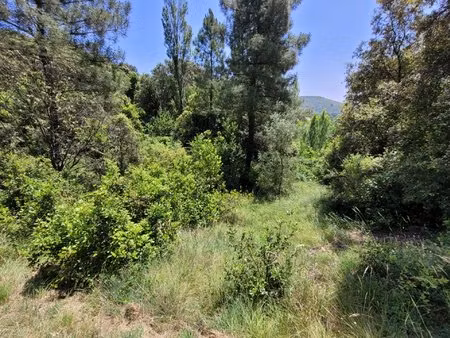 terrain constructible - 3869 m² - secteur arbousse