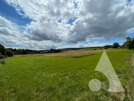 terrain de 7000 m2 vauchassis