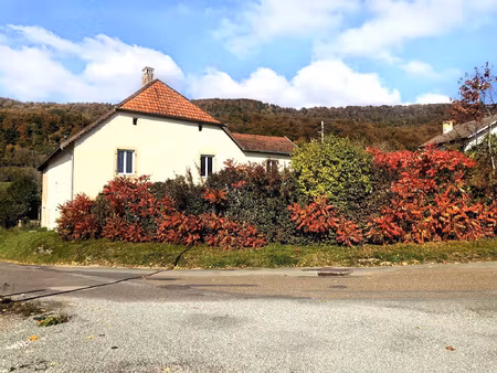 à vendre : ferme rénovée 35 mns montbeliard