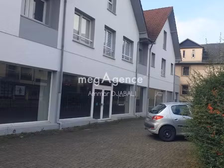 vente locaux professionnels 2631 m² à schiltigheim (67300)  2 350 000 €