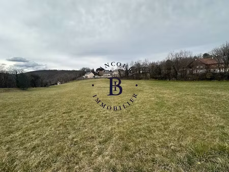 vente terrain à batir 2000 m² à chasteaux (19600)  42 000 €