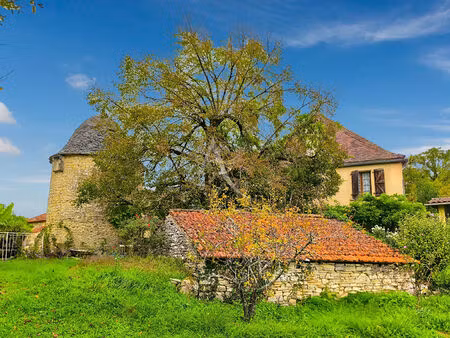 maison en pierre 221m²  4 chambres  piscine  proche catus  terrain 6ha.