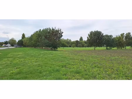 vente terrain 343 m² à mornac-sur-seudre (17113)  88 000 €