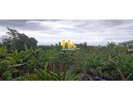 vente terrain 1400 m² à bois de nefles saint paul (97411)  585 000 €