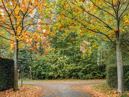 terrain à vendre à waasmunster € 560.000 (lgv08) - huysewinkel waasmunster | zimmo