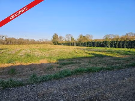 terrain constructible viabilisé à vendre