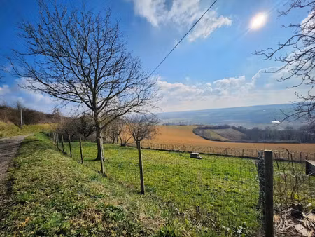 vente terrain 781 m² à chuzelles (38200)  180 000 €