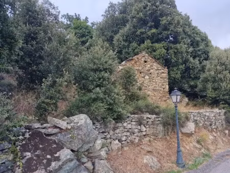 vente locaux professionnels 2 pièces 59 m² à murato (20239)  55 000 €