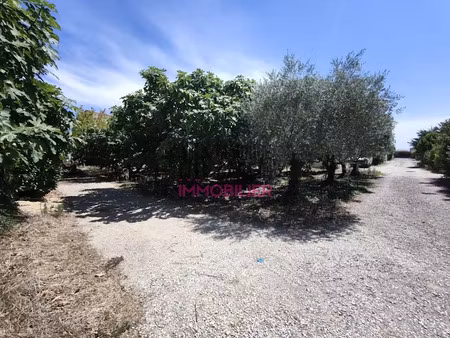 vente terrain 861 m² à caromb (84330)  240 000 €