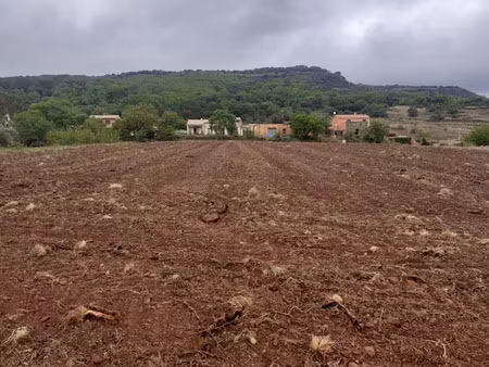 vente terrain 1959 m² à octon (34800)  298 000 €