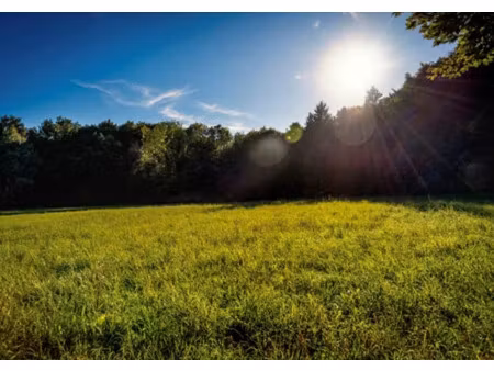 vente terrain 650 m² à wambrechies (59118)  269 000 €