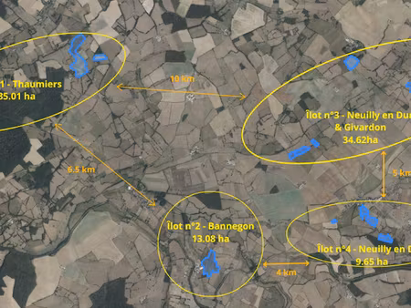 vente terrain 923857 m² à neuilly-en-dun (18600)  617 800 €