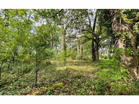 terrain saint-geours-de-maremne m² t- à vendre  146 300 €