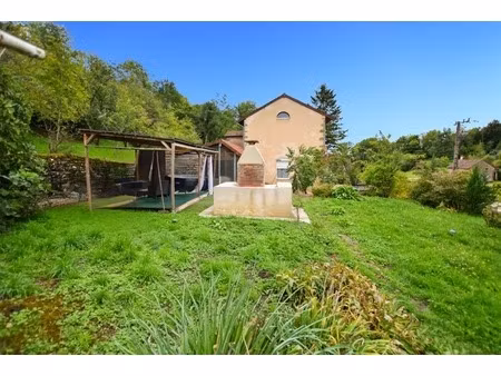 propriété /gîtes/ chambre d'hôtes et grand terrain à st sernin du plain