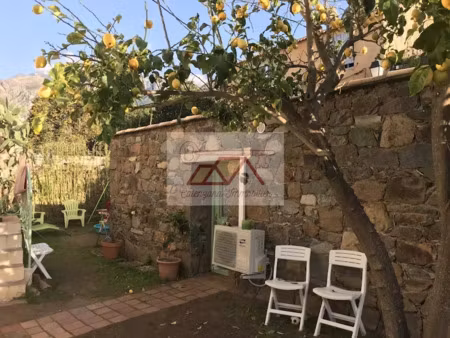 location meublée propriété 1 pièce 30 m² à calenzana (20214)  600 €