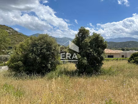 a vendre oletta terrain constructible de 1493 m² (viabilisé  cos de 20% )