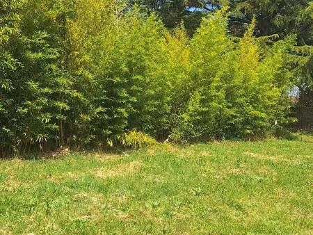 terrain constructible à vendre