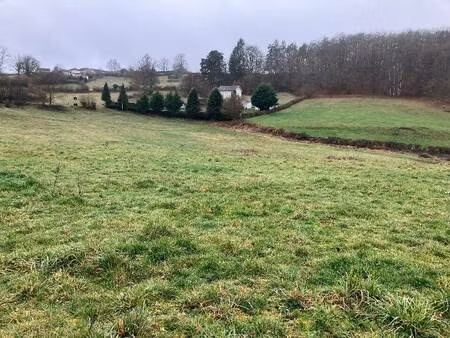 terrain constructible viabilisé à vendre