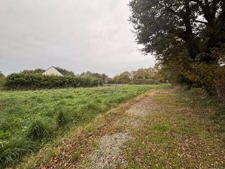 vente terrain à clohars-fouesnant (29950) : à vendre / clohars-fouesnant