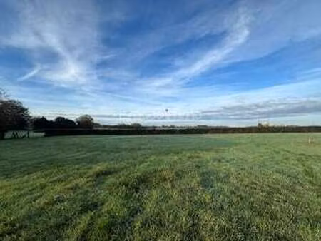 vente terrain à montville (76710) : à vendre / 969m² montville