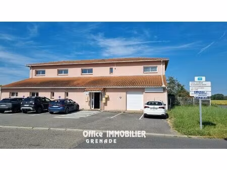 location local professionnel 52m² grenade 31330