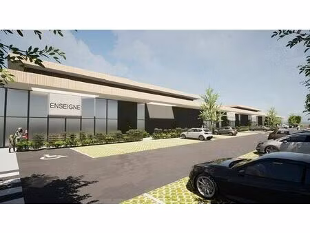 vente commerce lallaing 1 851 m²