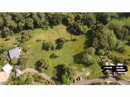 terrain constructible de 2 209 m² à vendre – fonds brûlé   martinique