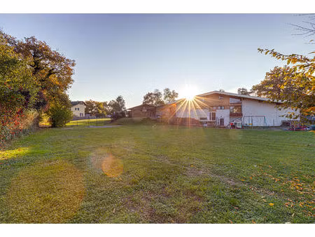 terrain excenevex à vendre