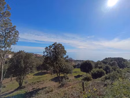 terrain bastia à vendre