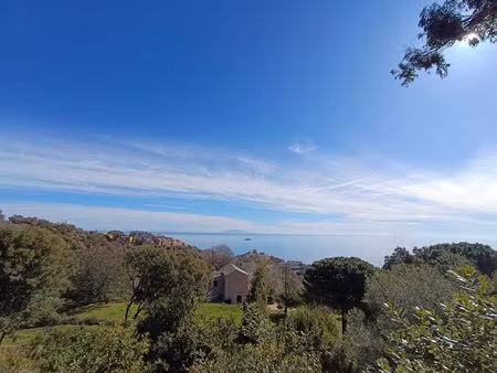 terrain bastia à vendre